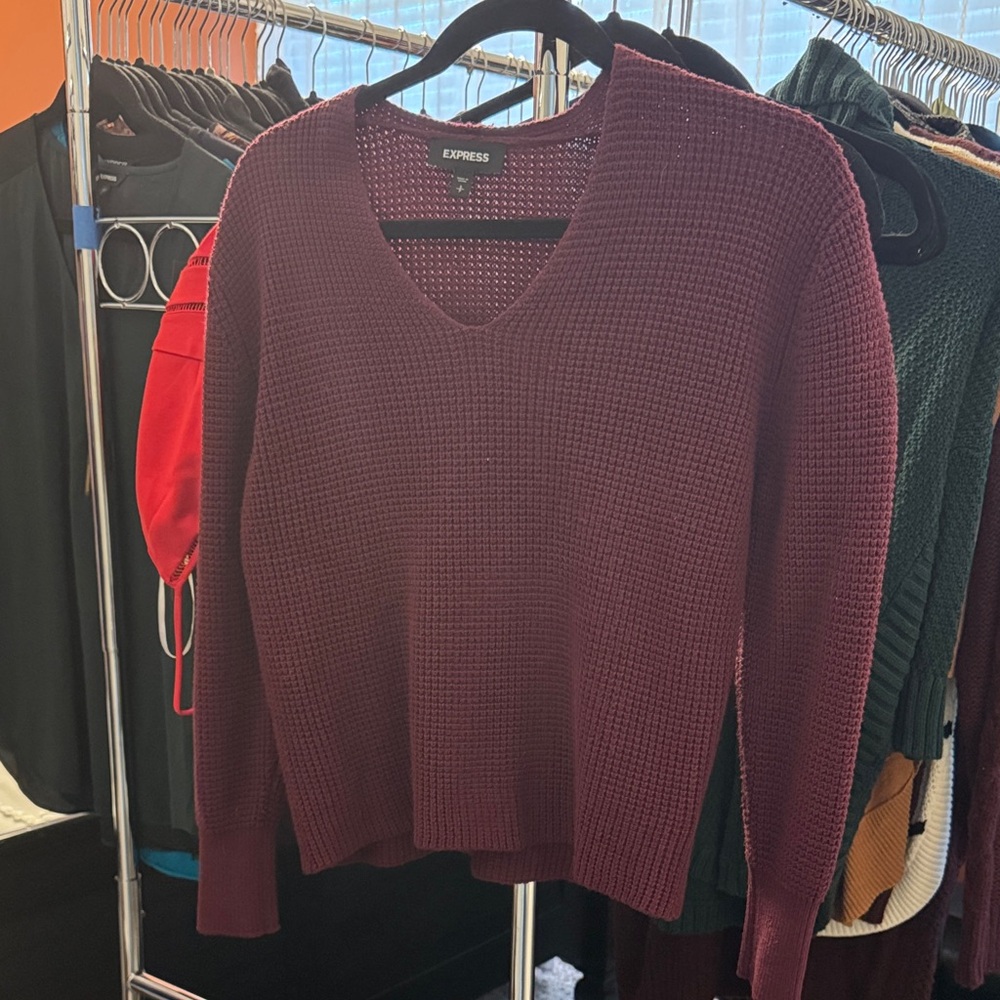 Express Women's Deep Burgundy V-Neck Sweater